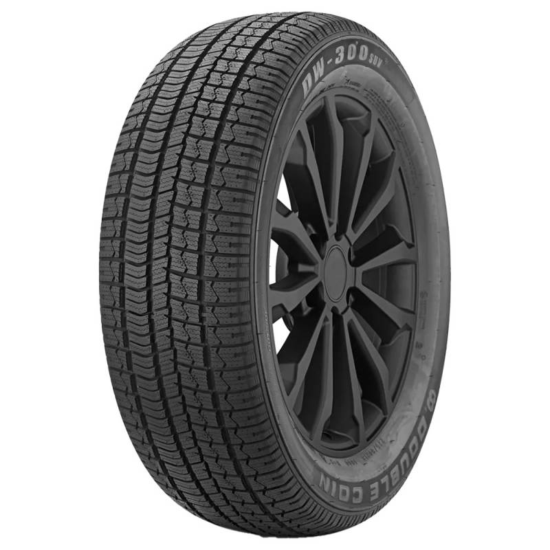 Double Coin DW-300 SUV